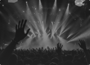 Concert crowd